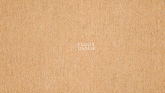 Линолеум Tarkett Travertine Pro TERRACOTTA 01 фото 1 | FLOORDEALER
